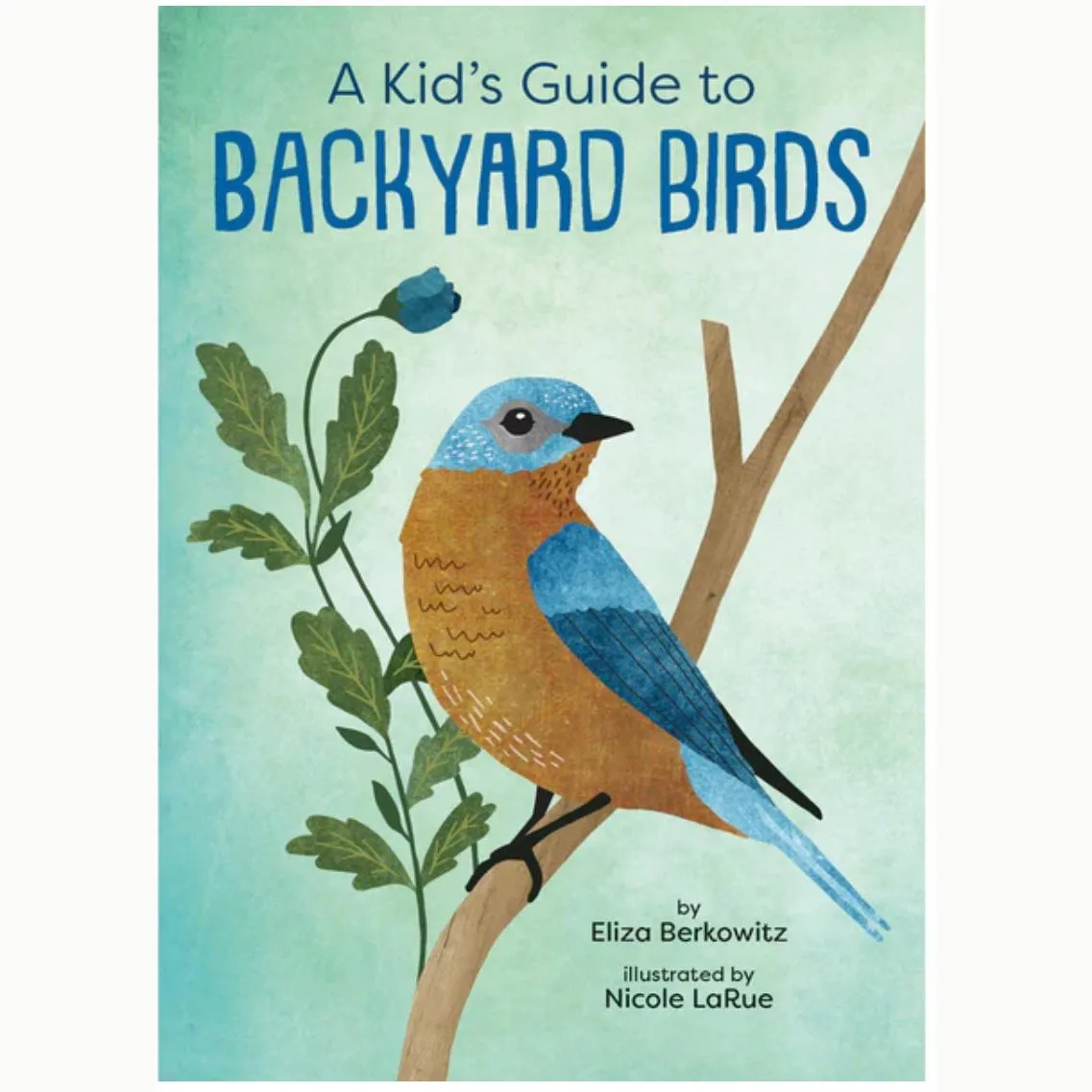 A Kid’s Guide to Backyard Birds