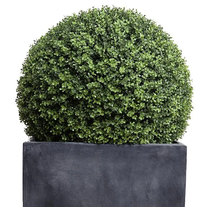 Boxwood Ball 28" in Square Pot 48"H