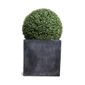 Boxwood Ball 28" in Square Pot 48"H