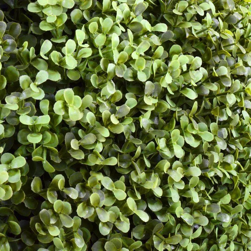 Boxwood Ball 28" in Square Pot 48"H