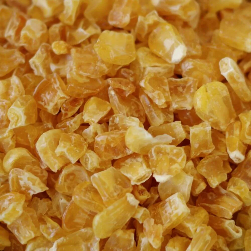 Rainy Day Foods Dehydrated Corn Super Sweet 6 (Case of Six) #2.5 Cans - 66 Servings
