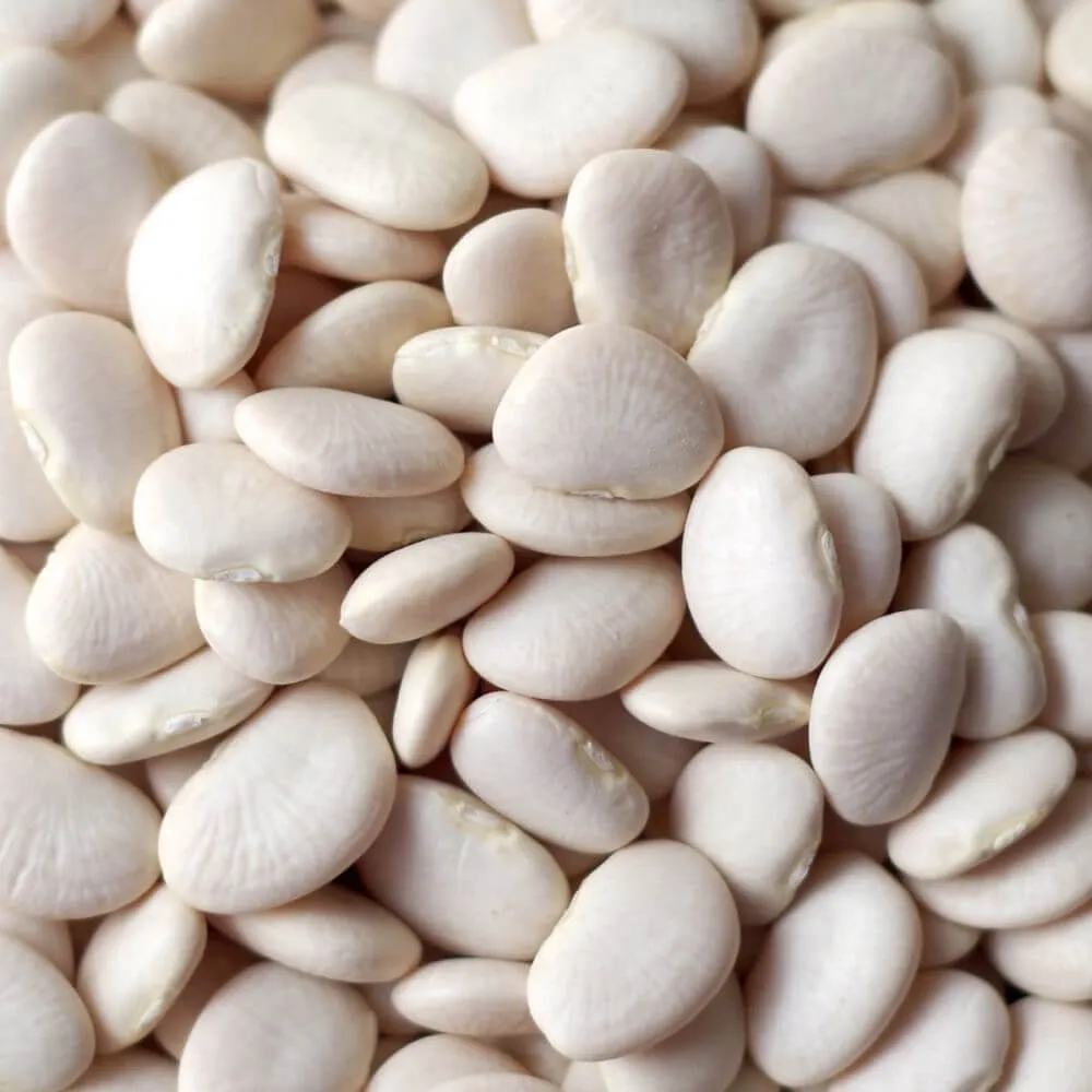 Rainy Day Foods Gluten-Free Baby Lima Beans 6 (Case of Six) #10 Cans - 150 Servings