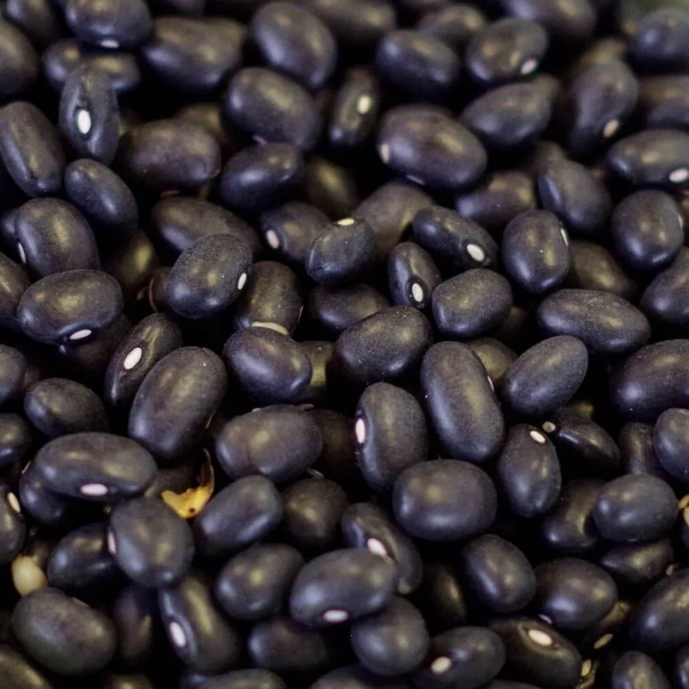 Rainy Day Foods Gluten-Free Black Turtle Beans 85 oz #10 Can - 27 Servings