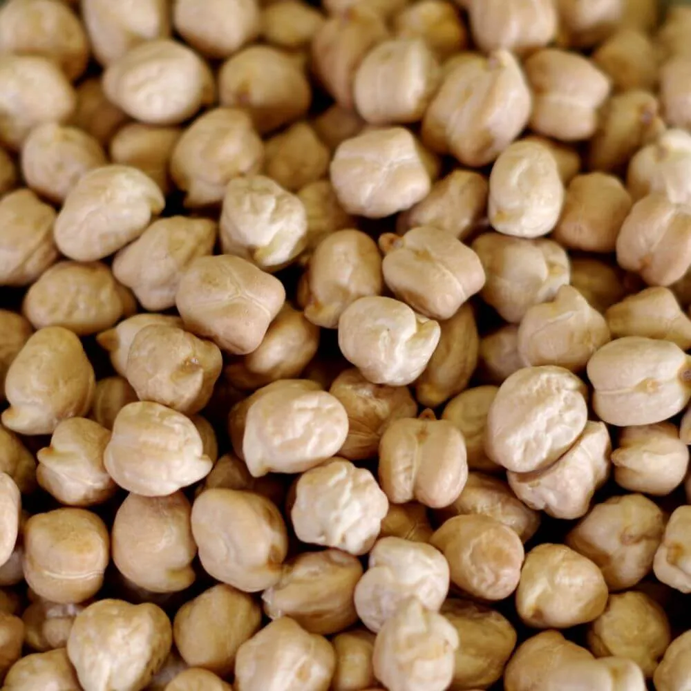 Rainy Day Foods Gluten-Free Garbanzo Beans 1.5 lbs Mylar Bag - 7 Servings