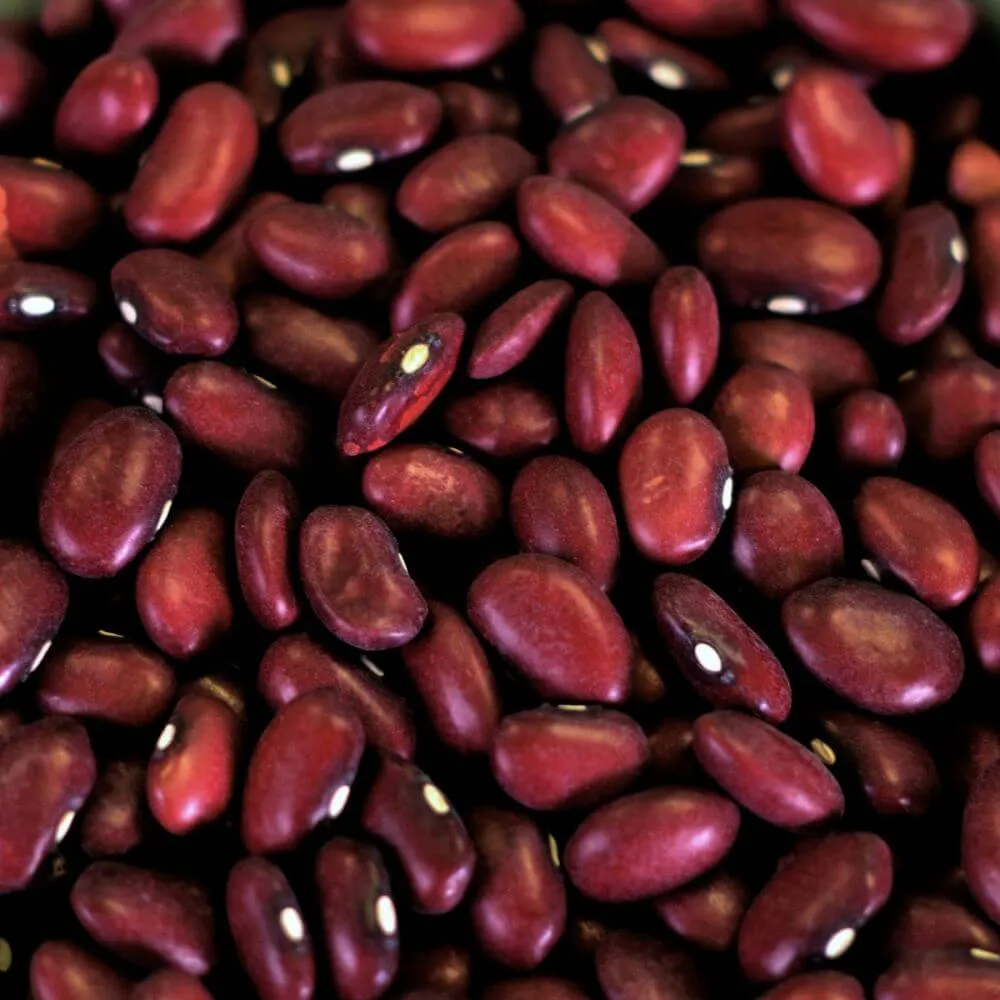 Rainy Day Foods Gluten-Free Small Red Beans 86 oz #10 Can - 24 Servings