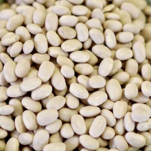 Rainy Day Foods Gluten-Free Small White Navy Beans 25 lbs Bag - 106 Servings