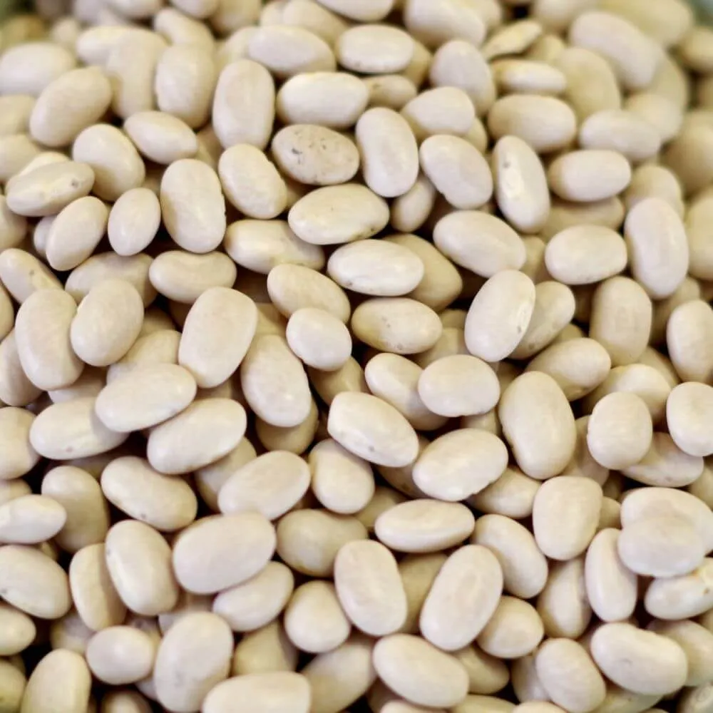 Rainy Day Foods Gluten-Free Small White Navy Beans 90 oz #10 Can - 24 Servings