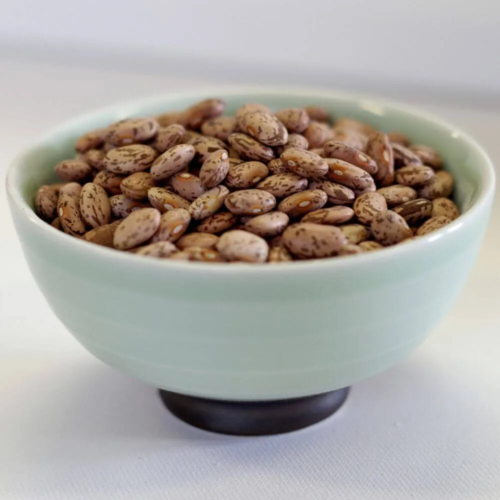 Rainy Day Foods Pinto Beans 6 (Case of Six) #10 Cans - 144 Servings