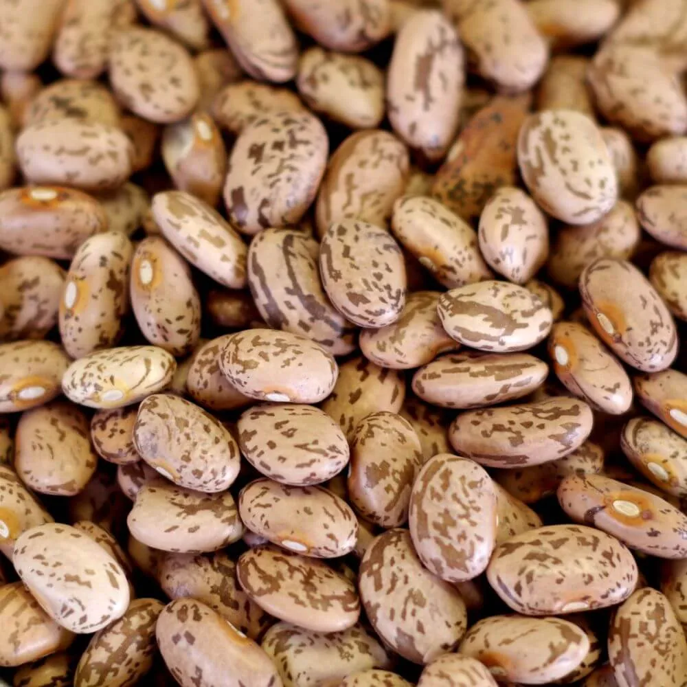 Rainy Day Foods Pinto Beans 6 (Case of Six) #10 Cans - 144 Servings