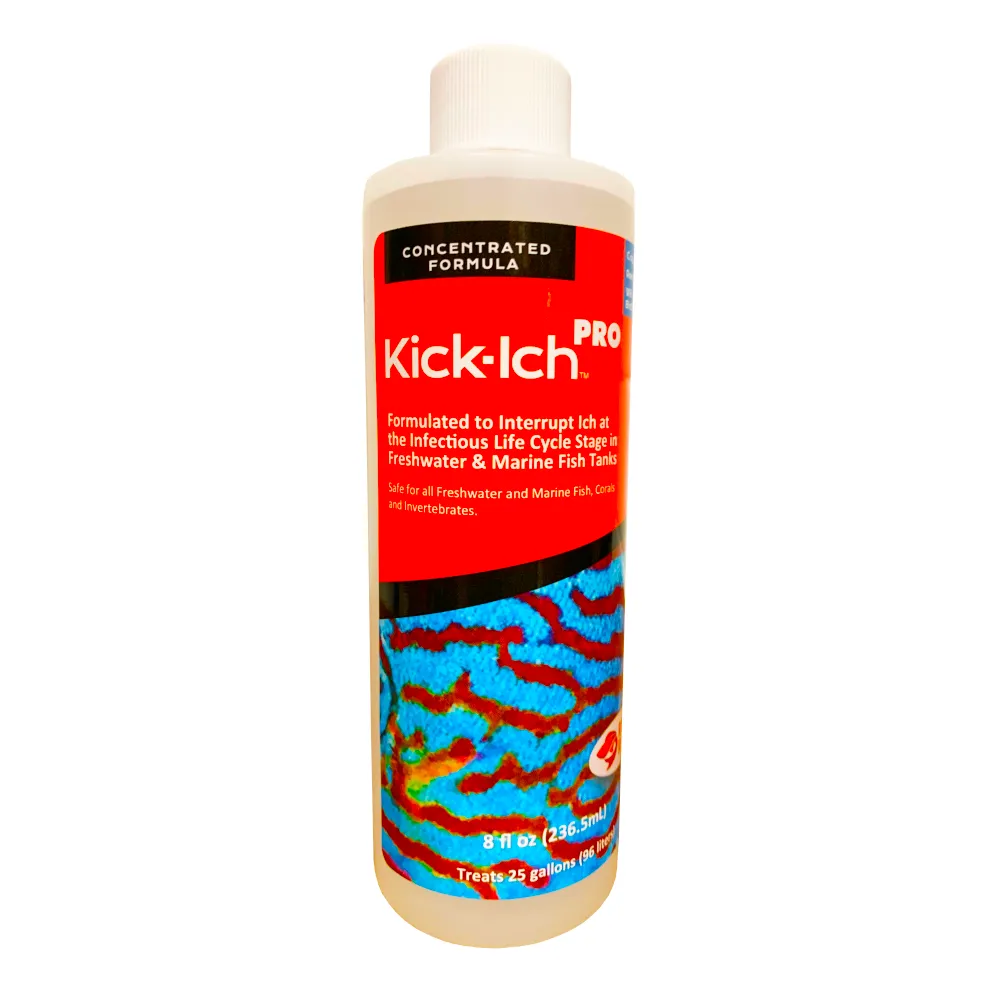 Ruby Reef Kick-Ich Pro